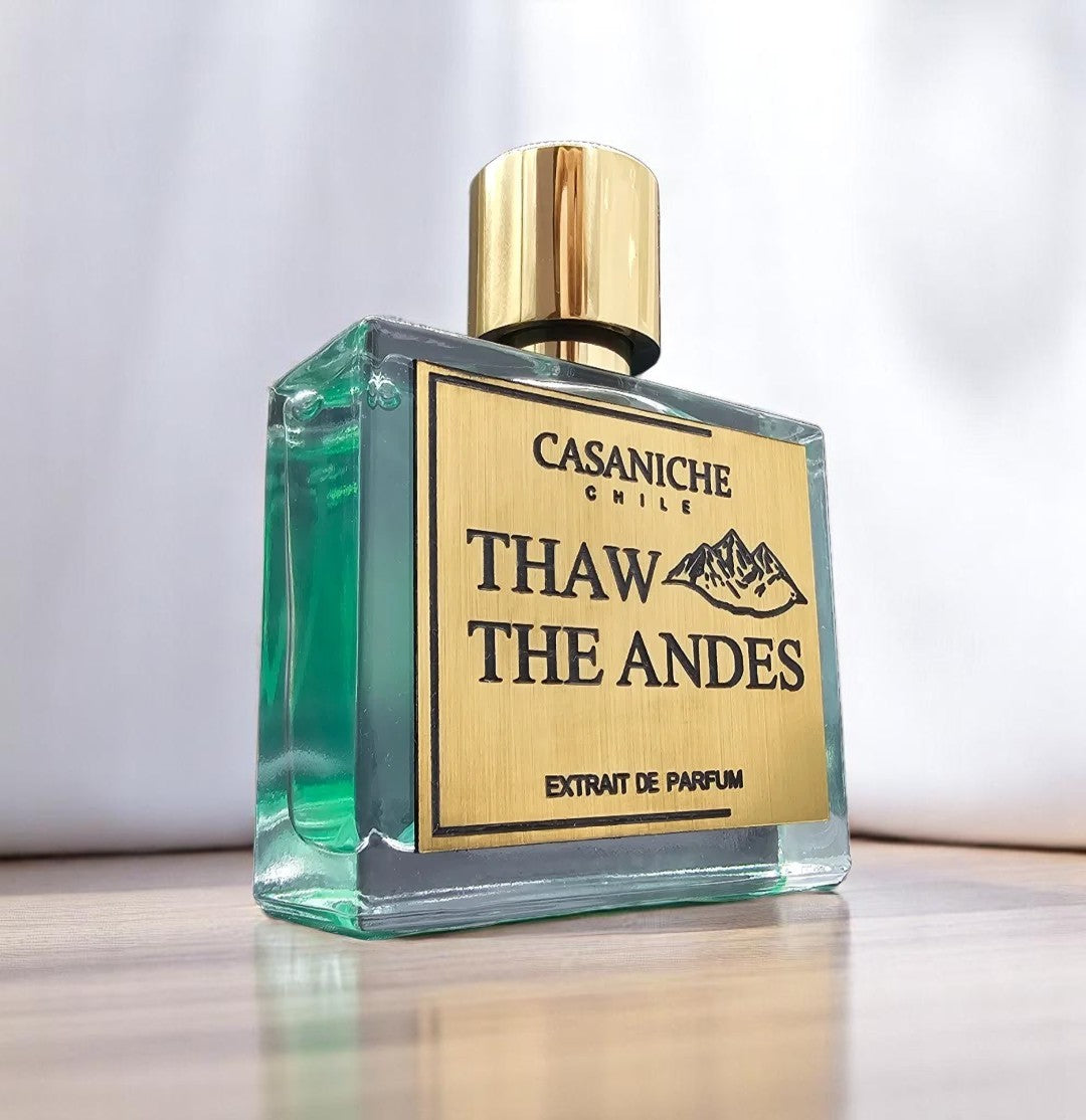 THAW THE ANDES.